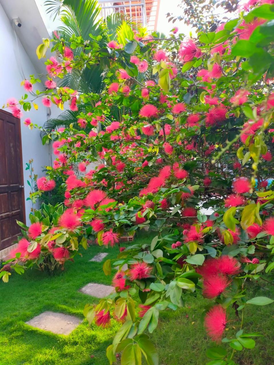 Serenity Garden Phú Quốc-sziget Kültér fotó
